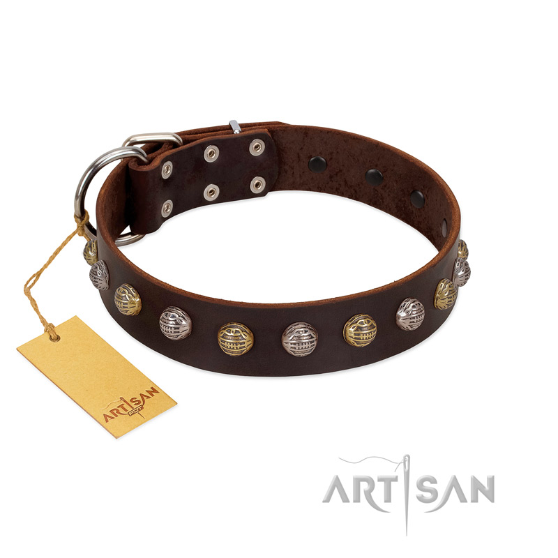 "Gape Buster" FDT Artisan Brown Leather Labrador Collar with One Row of Studs