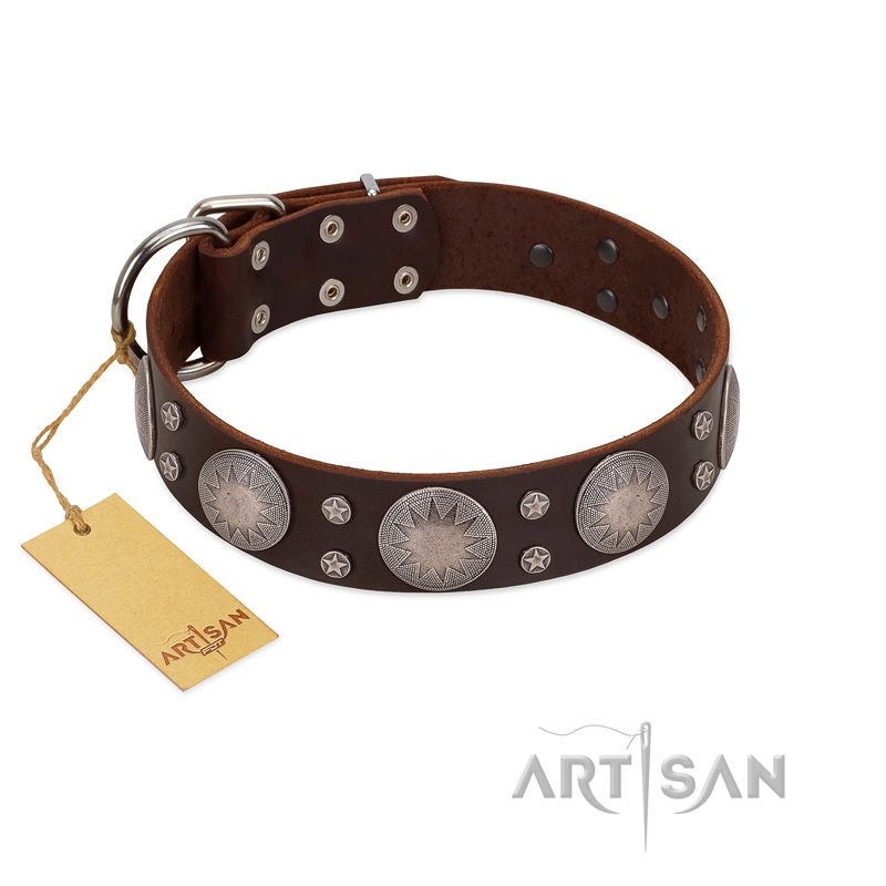 "Imperial Legate" FDT Artisan Brown Leather Labrador Collar with Big Round Plates