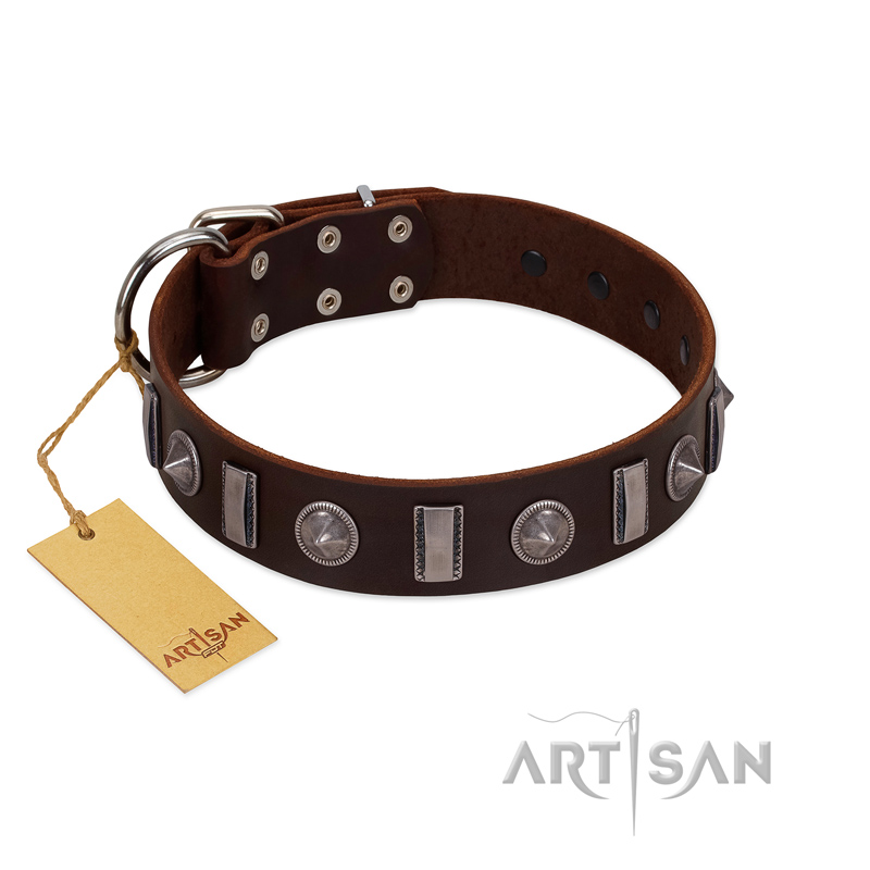 "Spiky Way" FDT Artisan Brown Leather Labrador Collar with Silver-Like Decorations