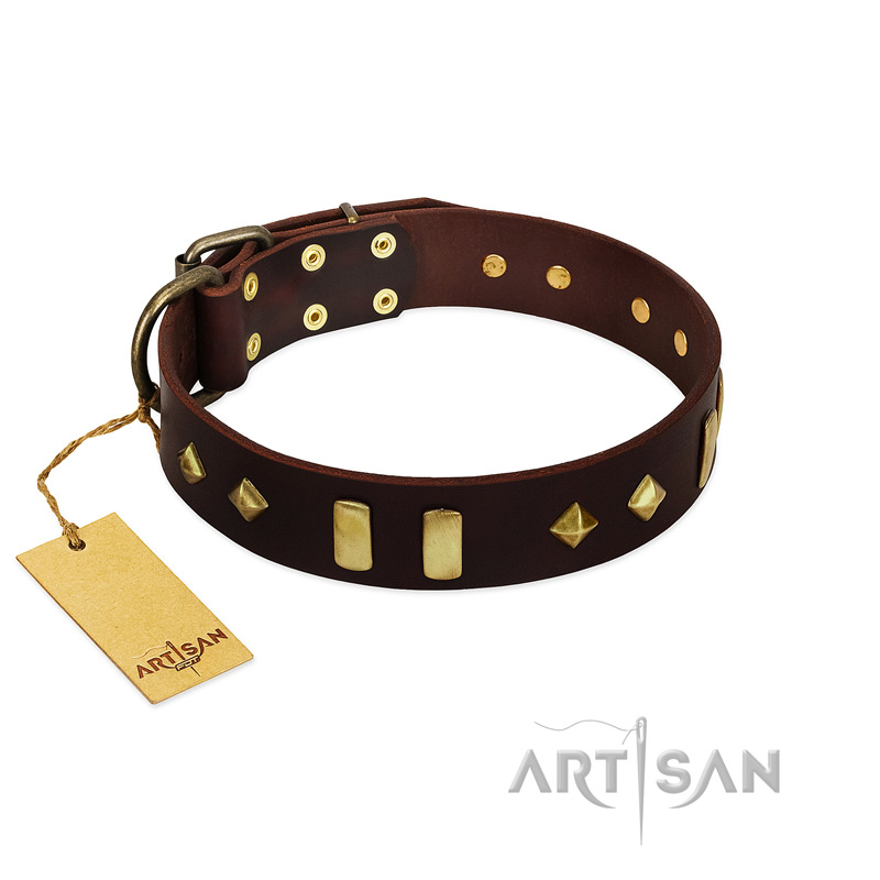 "Blinking Illusion" FDT Artisan Brown Leather Labrador Collar with Old Bronze-like Studs and Plates