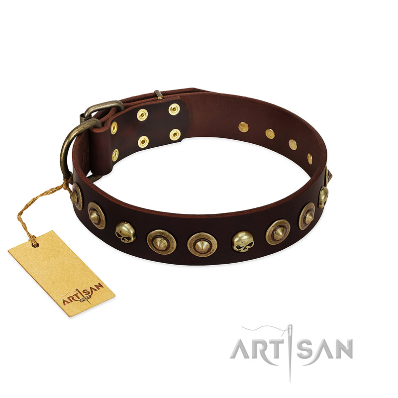 "Street Fashion" FDT Artisan Brown Leather Labrador Collar Adorned with Circles and Skulls