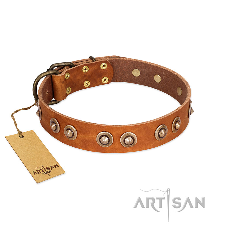 "Precious Relic" FDT Artisan Tan Leather Labrador Collar Adorned with Old Bronze Look Studs - Click Image to Close