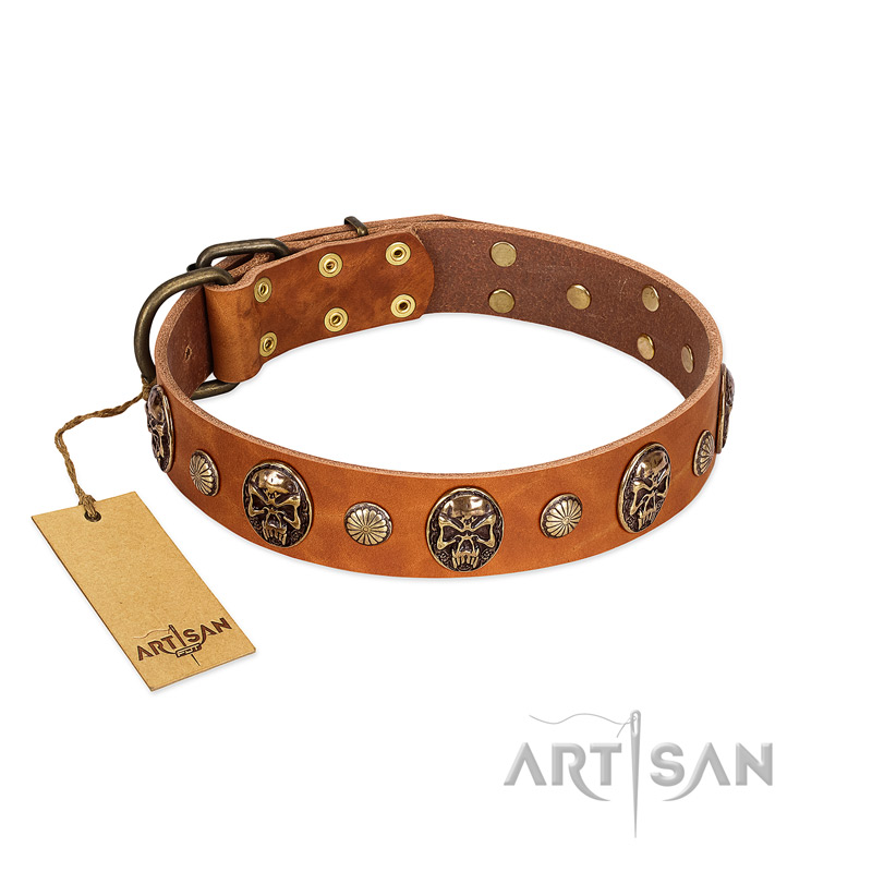 "Call of Feat" FDT Artisan Tan Leather Labrador Collar with Old Bronze-like Studs and Oval Brooches