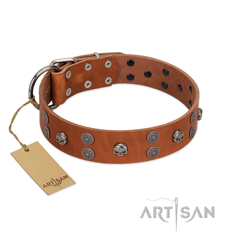 "Road Rider" FDT Artisan Tan Leather Labrador Collar with Old Silver-like Skulls and Medallions