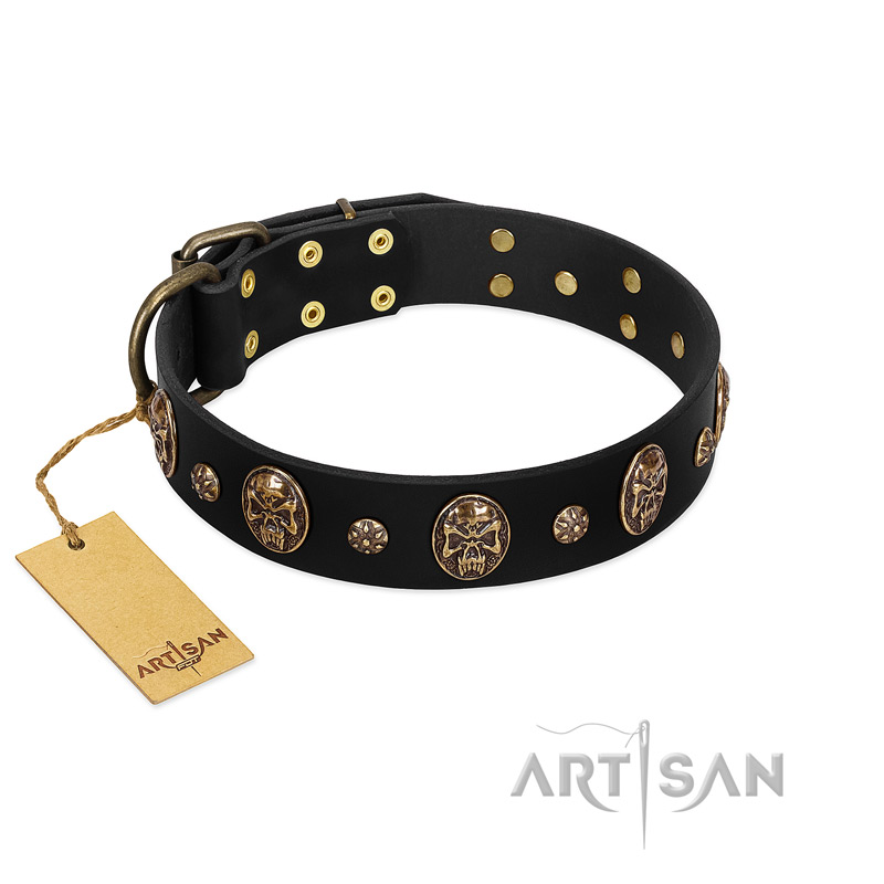 Pirate's Spell' FDT Artisan Black Leather Labrador Collar with Engraved Studs and Medallions