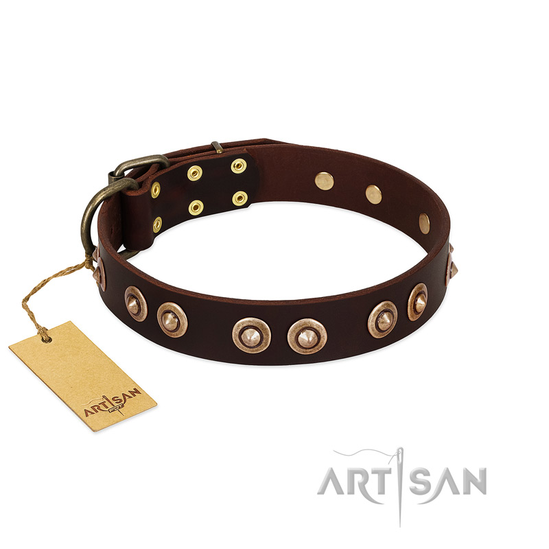 "Woofy Art" FDT Artisan Brown Leather Labrador Collar Adorned with Old Bronze-like Studs
