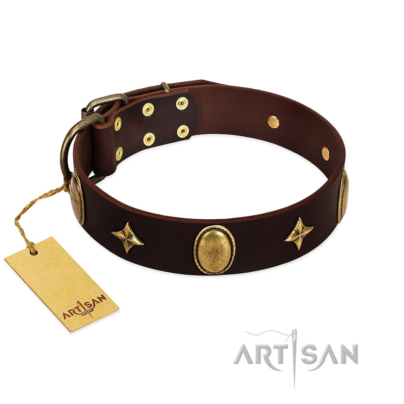 "Victory and Laurels" FDT Artisan Brown Leather Labrador Collar with Ovals and Stars