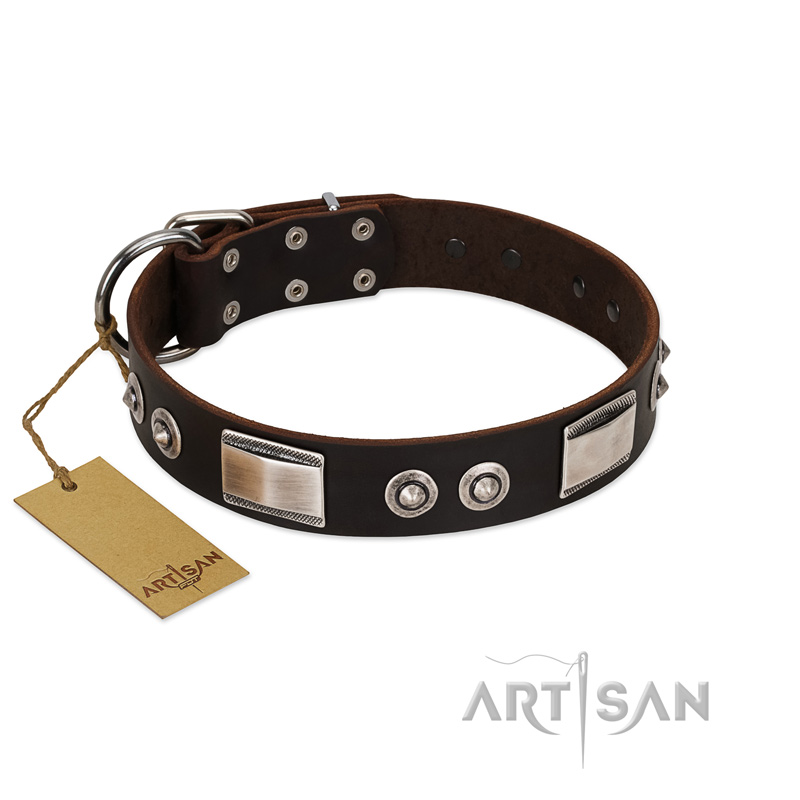 "Baller Status" FDT Artisan Brown Leather Labrador Collar Adorned with a Set of Chrome Plated Studs and Plates