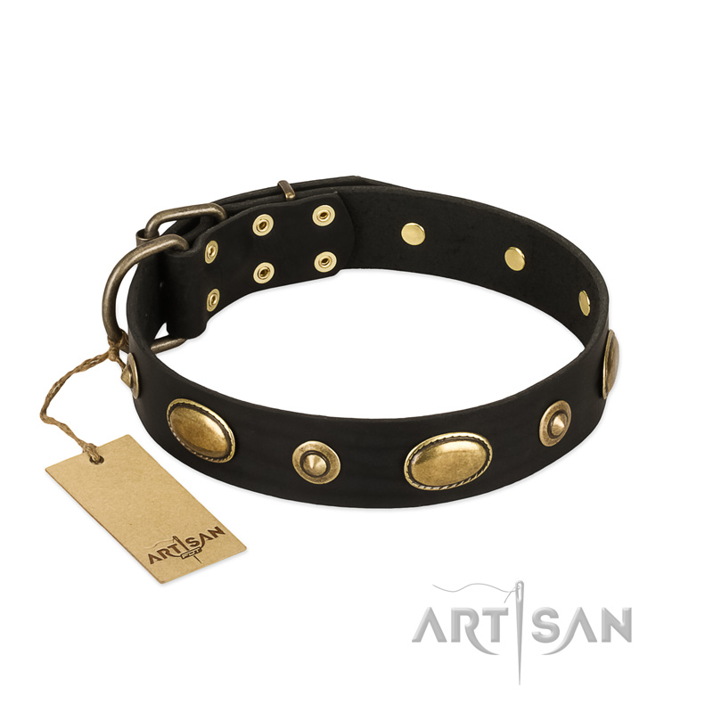 "Eye-Catcher" FDT Artisan Black Leather Labrador Collar for Walking in Style