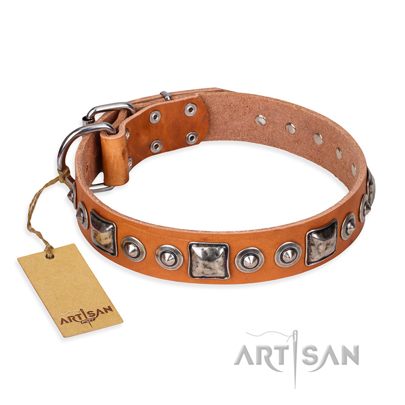 "Era of Future" FDT Artisan Handcrafted Tan Leather Labrador Collar with Decorations