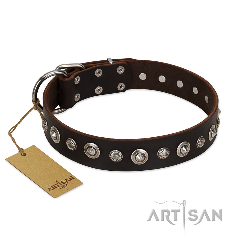 "Gorgeous Shields" FDT Artisan Brown Leather Labrador Collar with Old Silver-like Circles and Small Camomiles