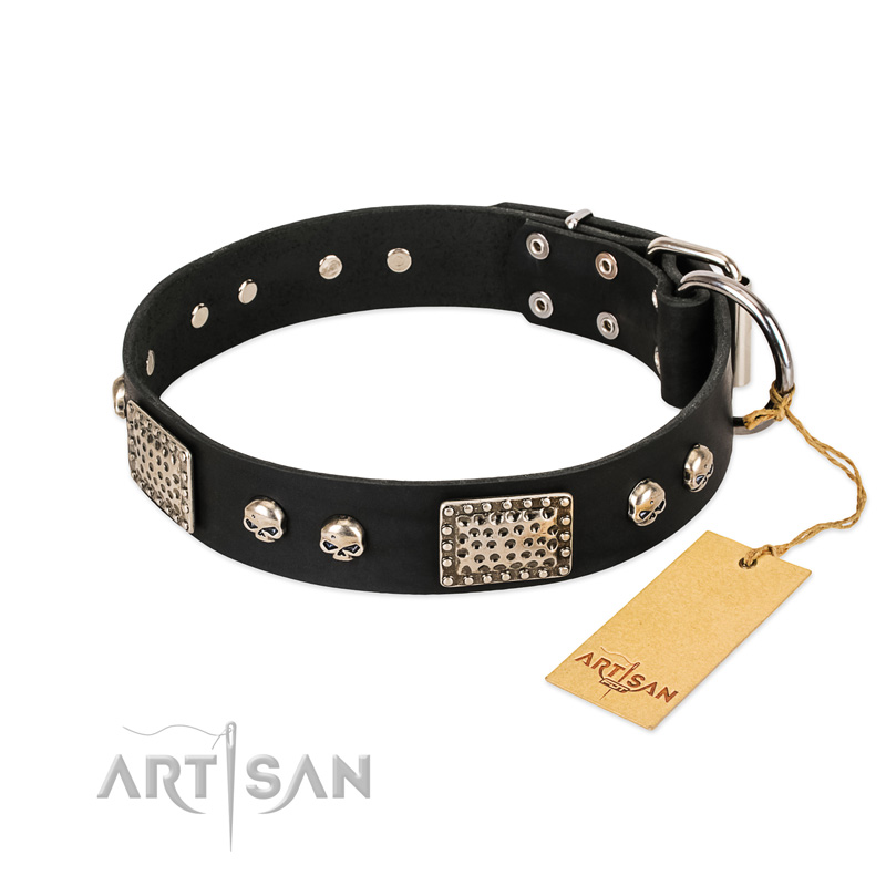 "Pirates Gold" FDT Artisan Black Leather Labrador Collar with Old Silver Look Plates and Skulls - Click Image to Close