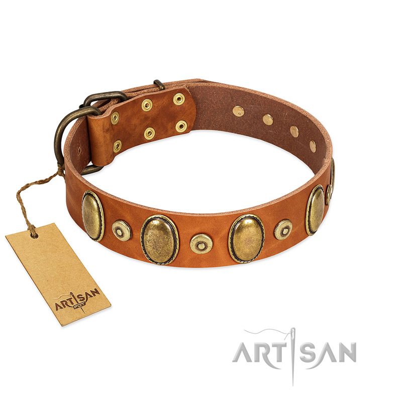 "Crystal Sand" FDT Artisan Tan Leather Labrador Collar with Vintage Looking Oval and Round Studs