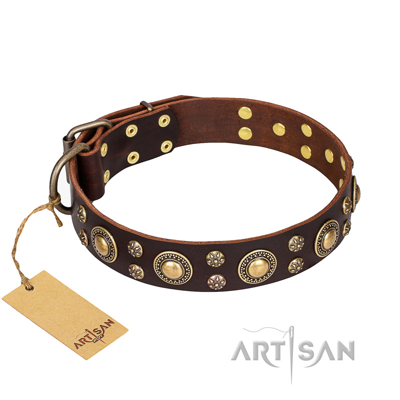 "Flower Melody" FDT Artisan Brown Leather Labrador Collar with Mixed Studs