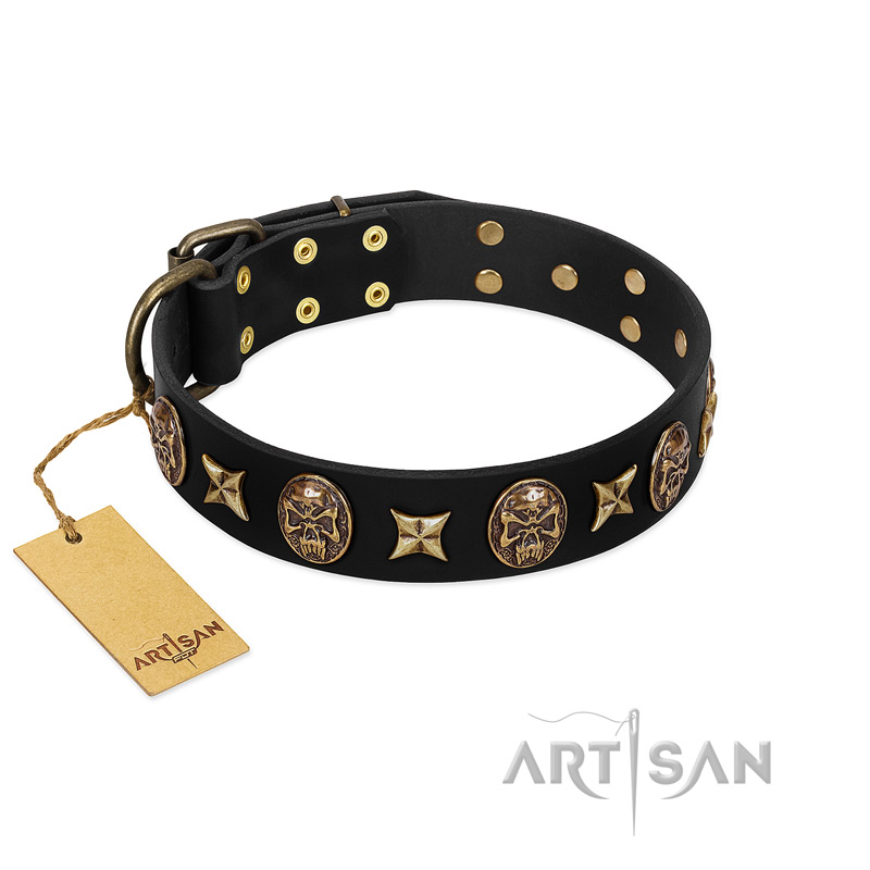 "Starry Saga" FDT Artisan Black Leather Labrador Collar with Stars and Skulls
