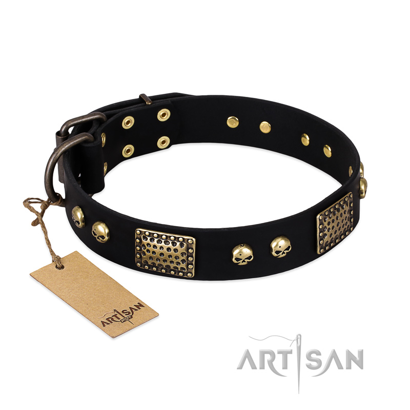 "Biker Style" FDT Artisan Black Leather Labrador Collar with Old Bronze Look Plates and Skulls