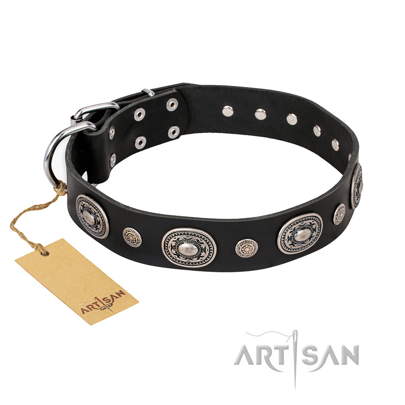 "Black Tie" FDT Artisan Leather Labrador Collar with Old Silver-like Decorations