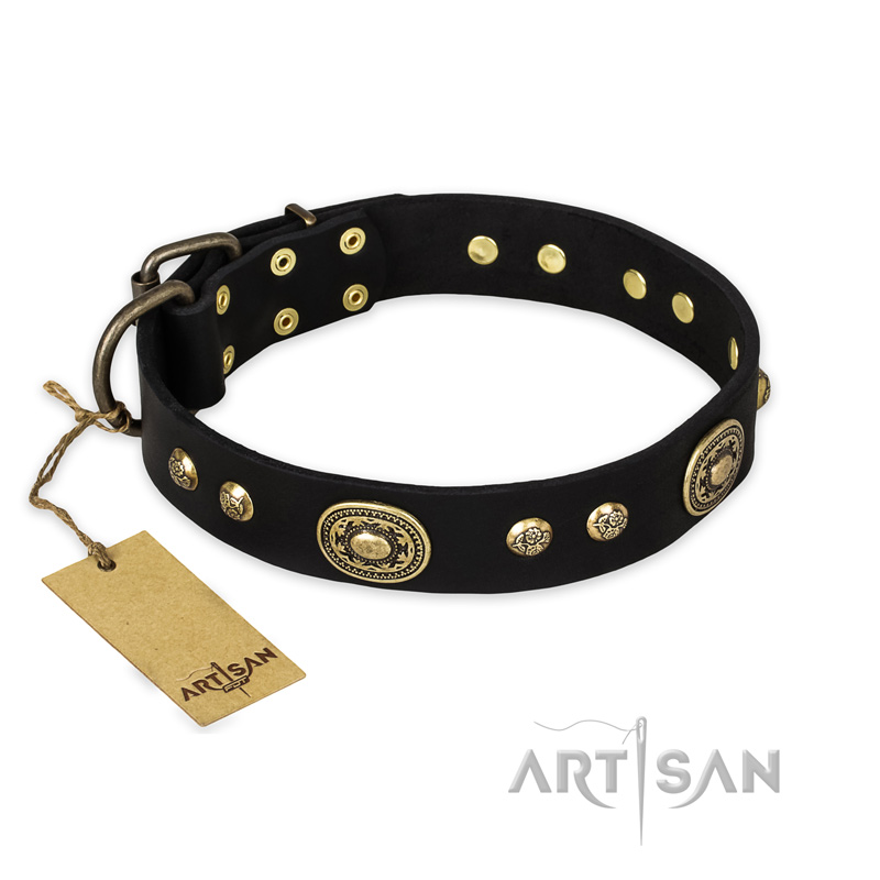 "High Fashion" FDT Artisan Studded with Plates Black Leather Labrador Collar