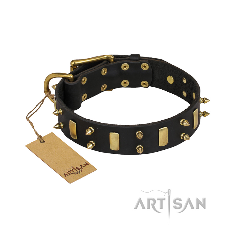 "Medieval Style" FDT Artisan Leather Labrador Collar with Brass Plated Plates and Spikes