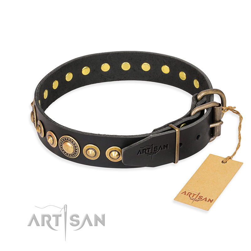 "Gold Mine" FDT Artisan Black Leather Labrador Collar with Amazing Bronze-Plated Round Studs