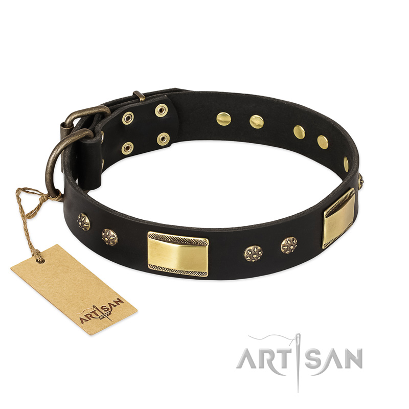"Black Sun" FDT Artisan Leather Labrador Collar with Brass Plated Decorations