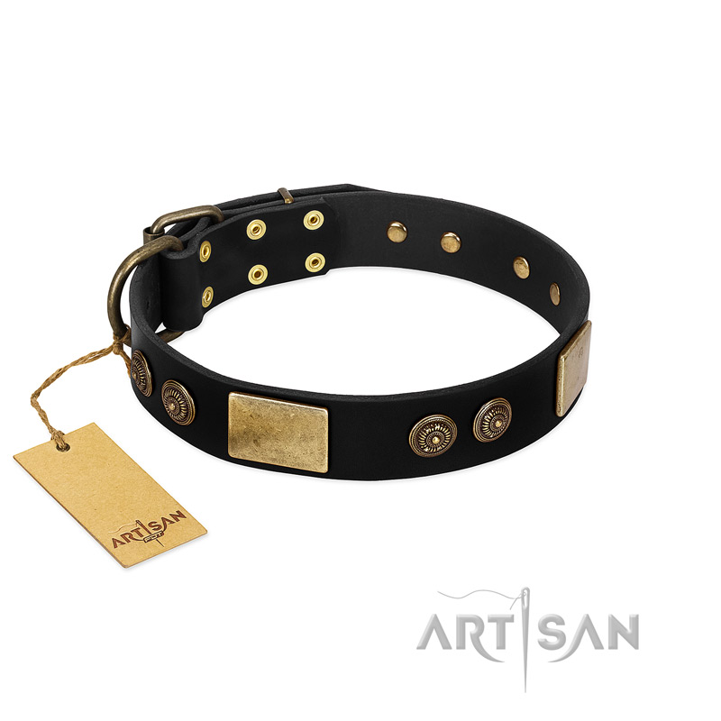 "Chicci-Glam" FDT Artisan Black Leather Labrador Collar with Plates and Ornate Studs