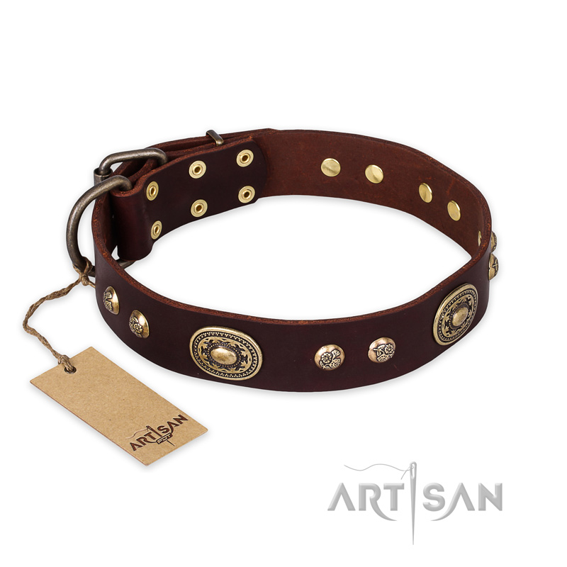 "Breath of Elegance" FDT Artisan Decorated with Plates Brown Leather Labrador Collar