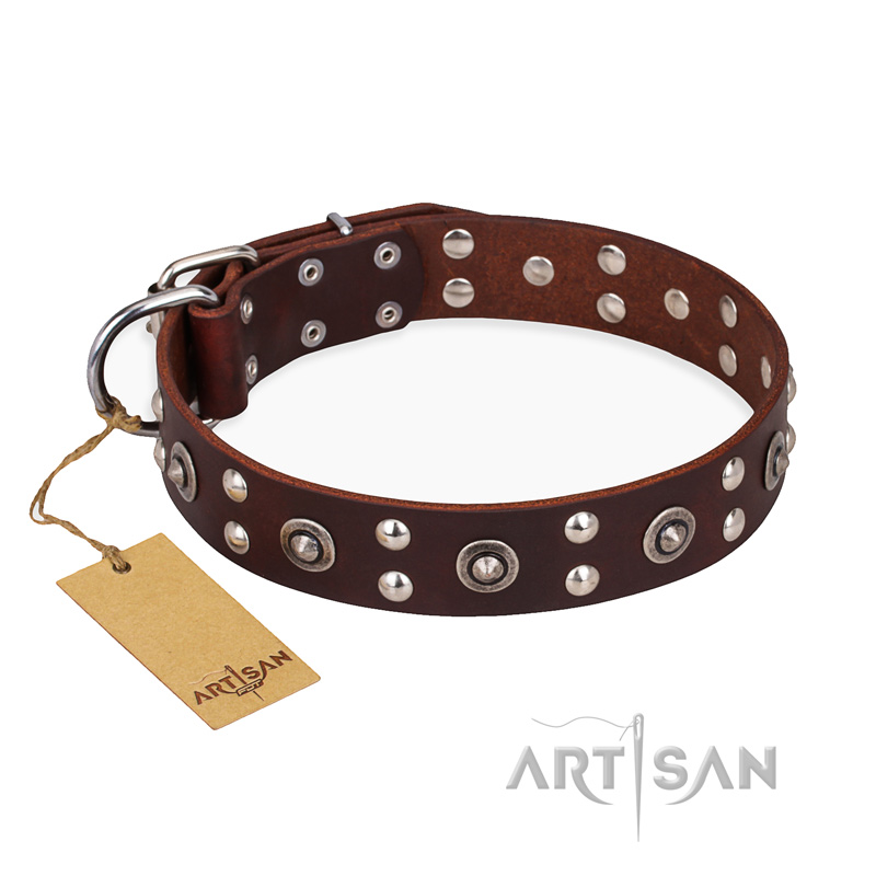 "Pirate Treasure" FDT Artisan Exciting Brown Leather Labrador Collar with Studs