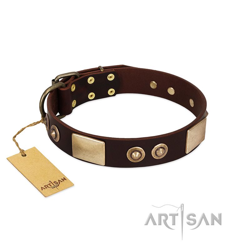 "Sense of Freedom" FDT Artisan Brown Leather Labrador Collar with Old Bronze-Plated Studs and Plates