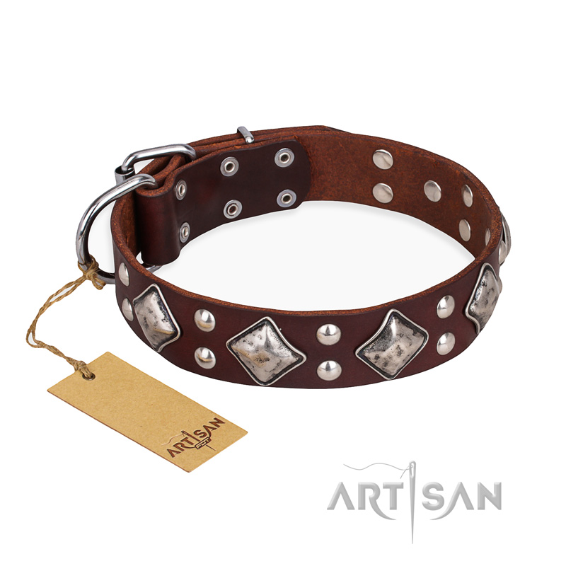 "King of Grace" FDT Artisan Stylish Leather Labrador Collar with Old Silver-Like Plated Decorations