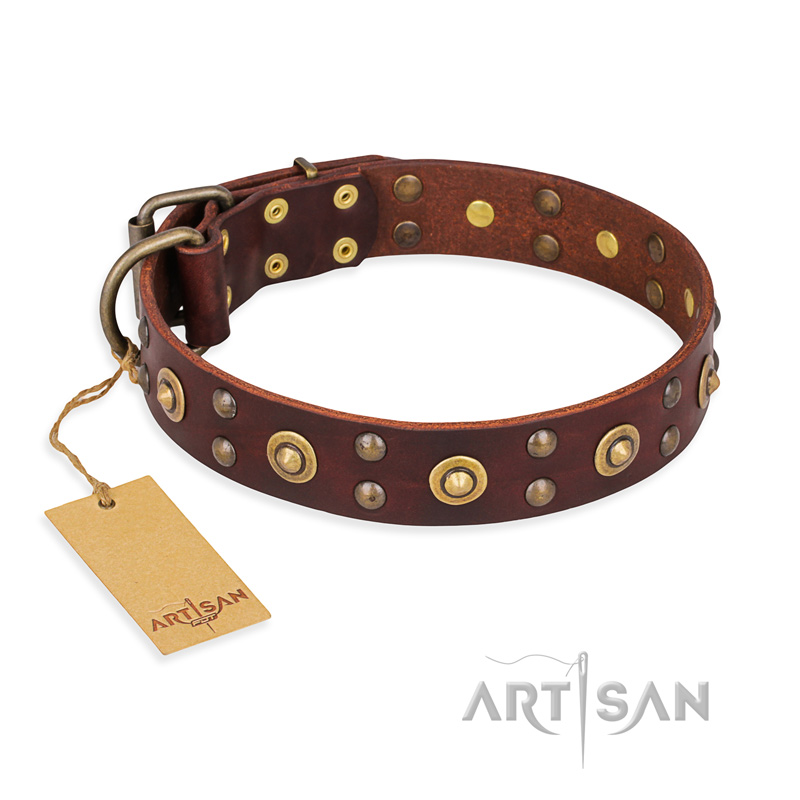 "Caprice of Fashion" FDT Artisan Brown Leather Labrador Collar with Round Decorations - Click Image to Close