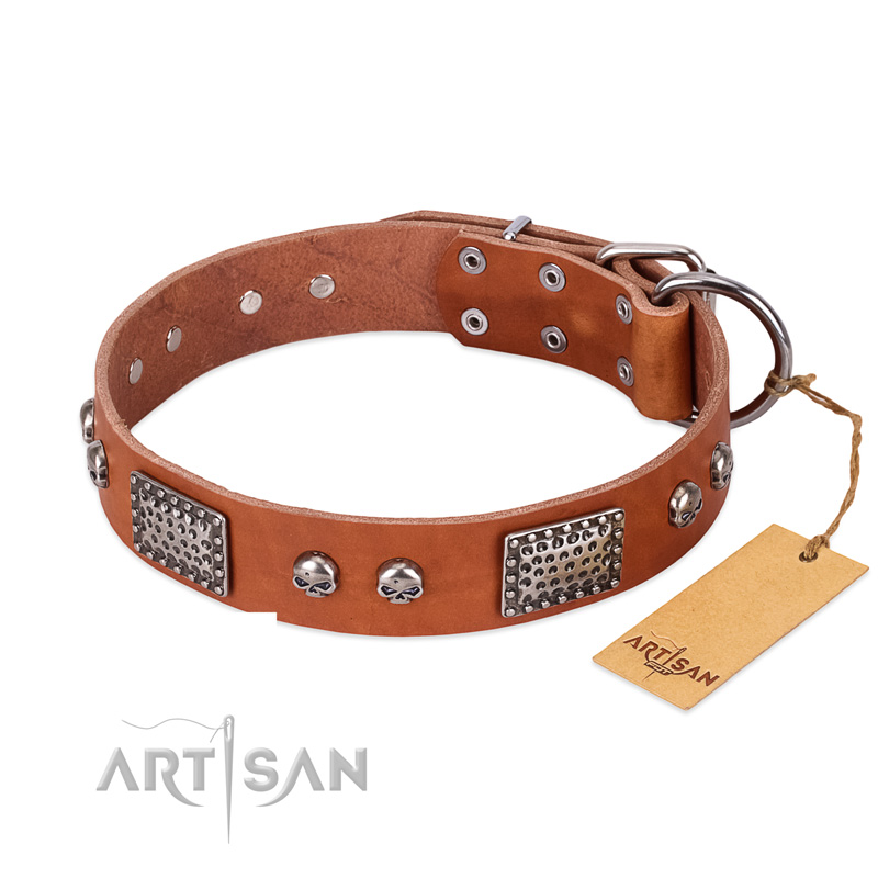 "Sparkling Skull" FDT Artisan Tan Leather Labrador Collar with Old Silver Look Plates and Skulls