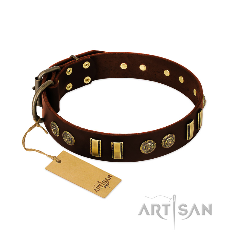 "Golden Elegance" FDT Artisan Brown Leather Labrador Collar with Old Bronze-like Decorations