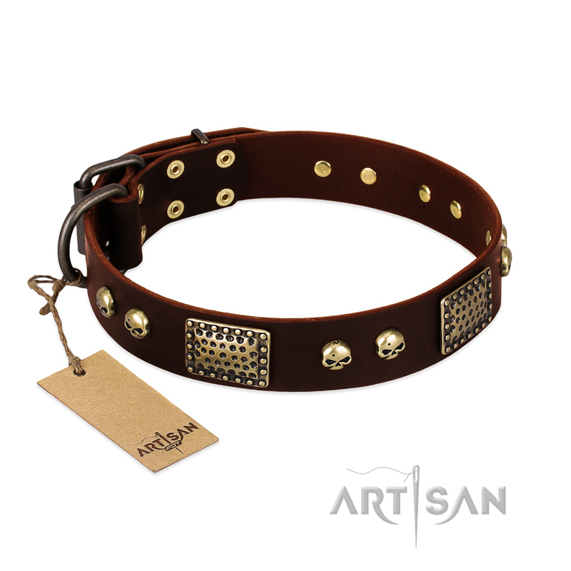 "Magic Amulet" Brown Leather Labrador Collar with Skulls and Plates