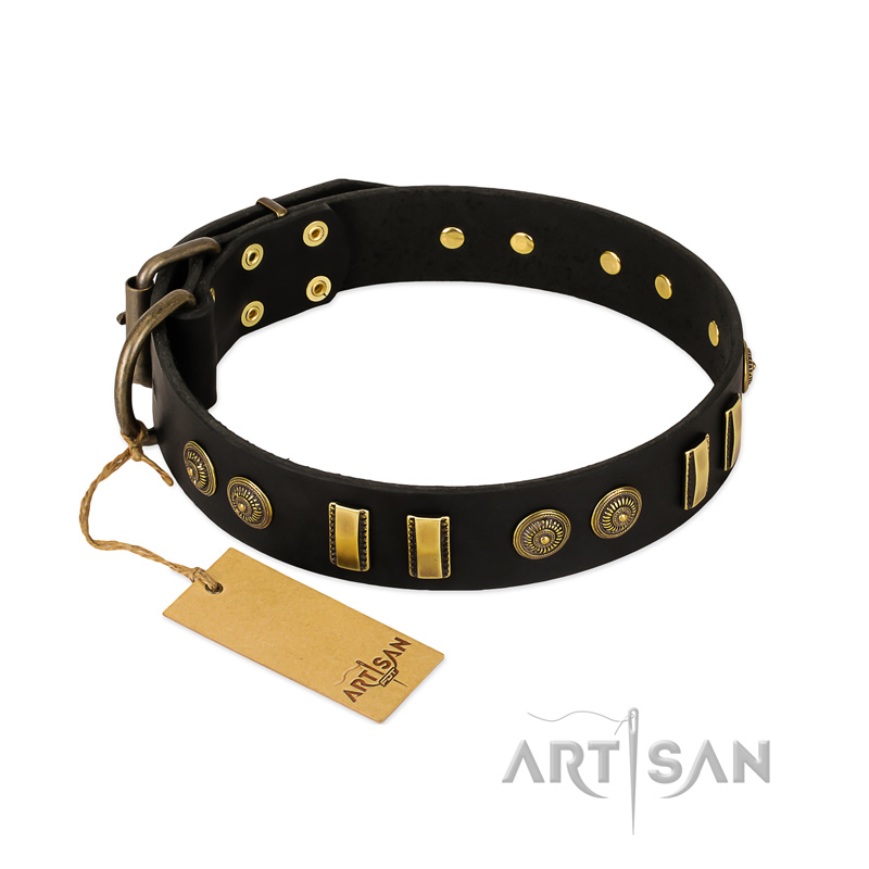 "Simple Elegance" FDT Artisan Black Leather Labrador Collar with Old Bronze-like Plates and Circles
