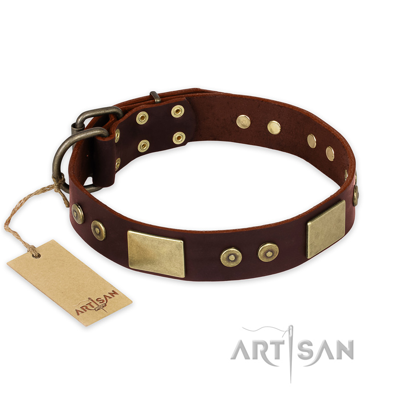 "Shining Armour" FDT Artisan Brown Leather Labrador Collar with Decorations