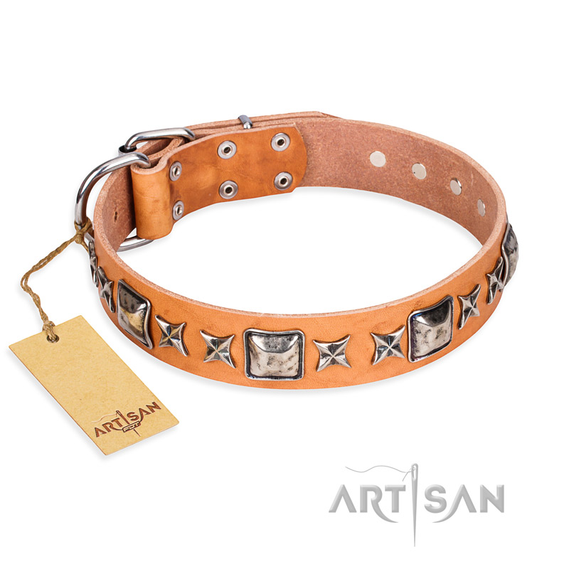 "Glamour Finery" FDT Artisan Female Labrador collar of natural leather with stylish old-looking circles