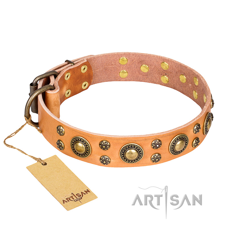 "Sophisticated Glamor" FDT Artisan Leather Labrador Collar with Fancy Old Bronze-like Plated Decorations