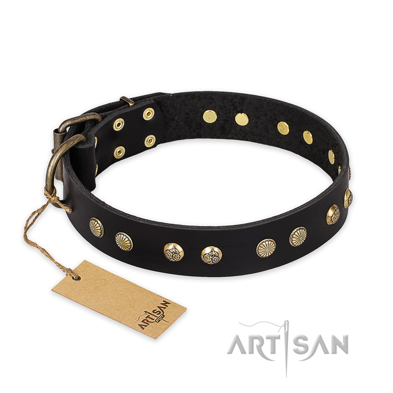 "Black Elegance" FDT Artisan Leather Labrador Collar with Round Studs
