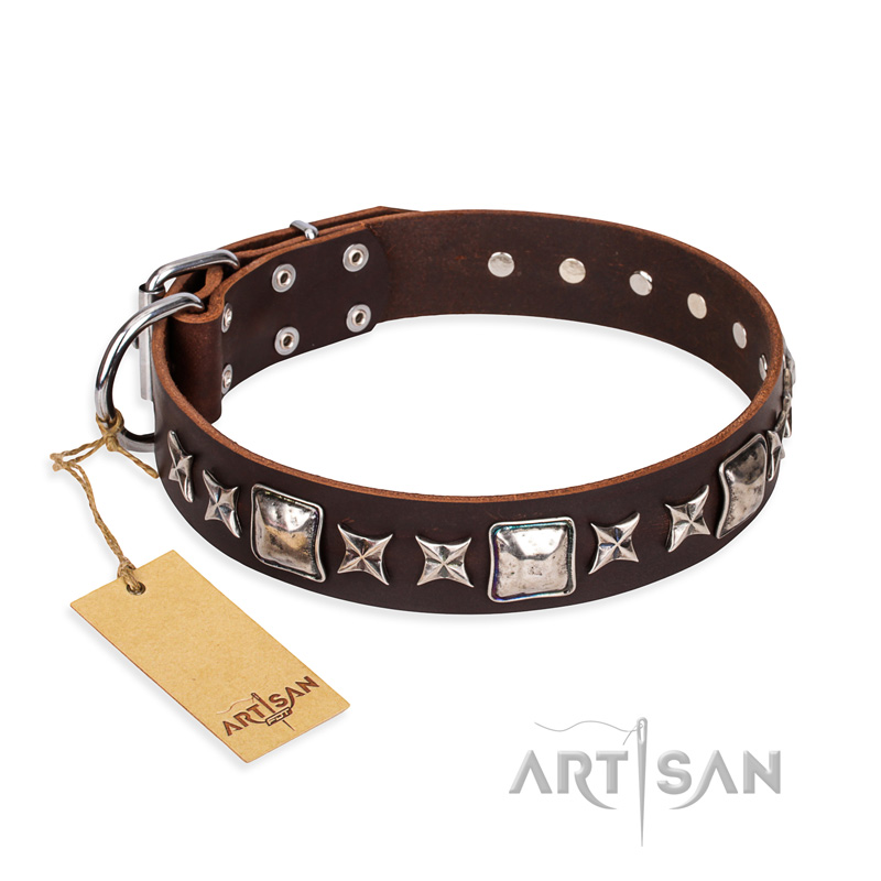 "Perfect Impression" FDT Artisan Brown Leather Labrador Collar with Silvery Square Studs