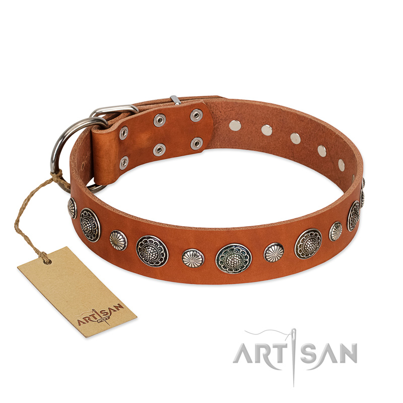 "Natural Beauty" FDT Artisan Tan Leather Labrador Collar with Shining Silver-like Studs