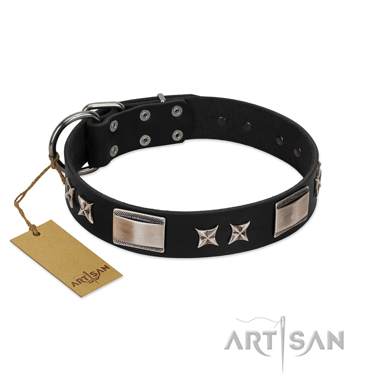 "Pitch Dark" FDT Artisan Black Leather Labrador Collar with Stars and Plates