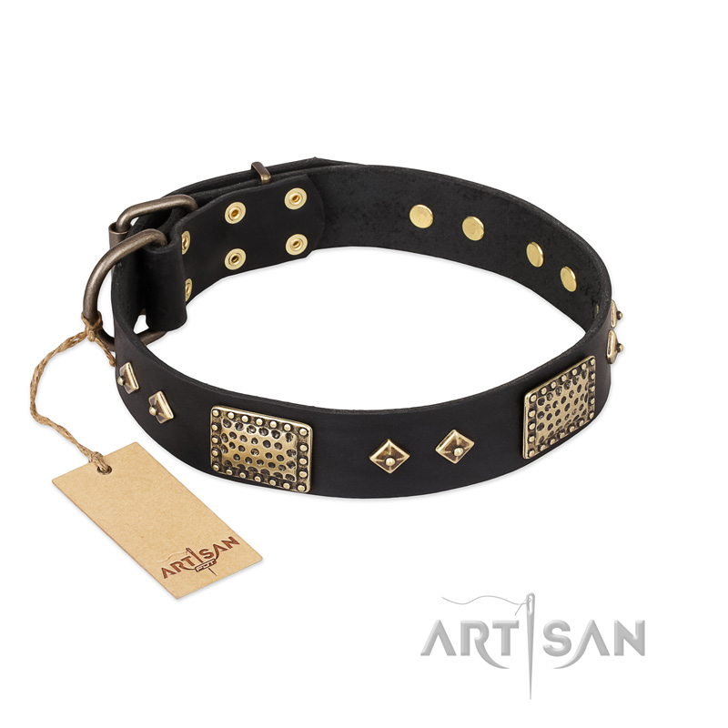 "Jewel Passion" FDT Artisan Fashionable Black Leather Labrador Collar