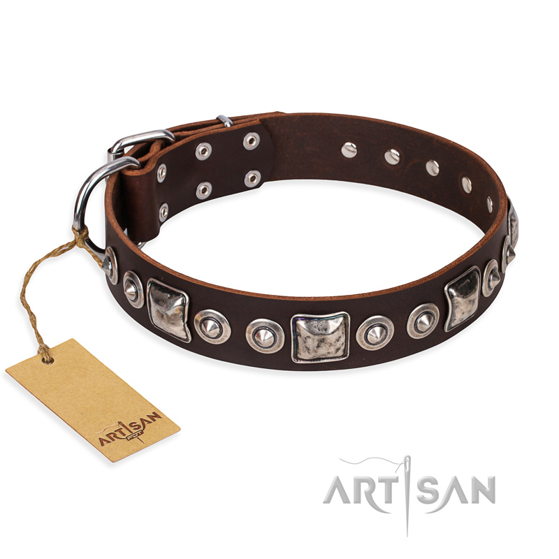 "Pierian spring" FDT Artisan Brown Leather Labrador Collar with Silvery Decorations