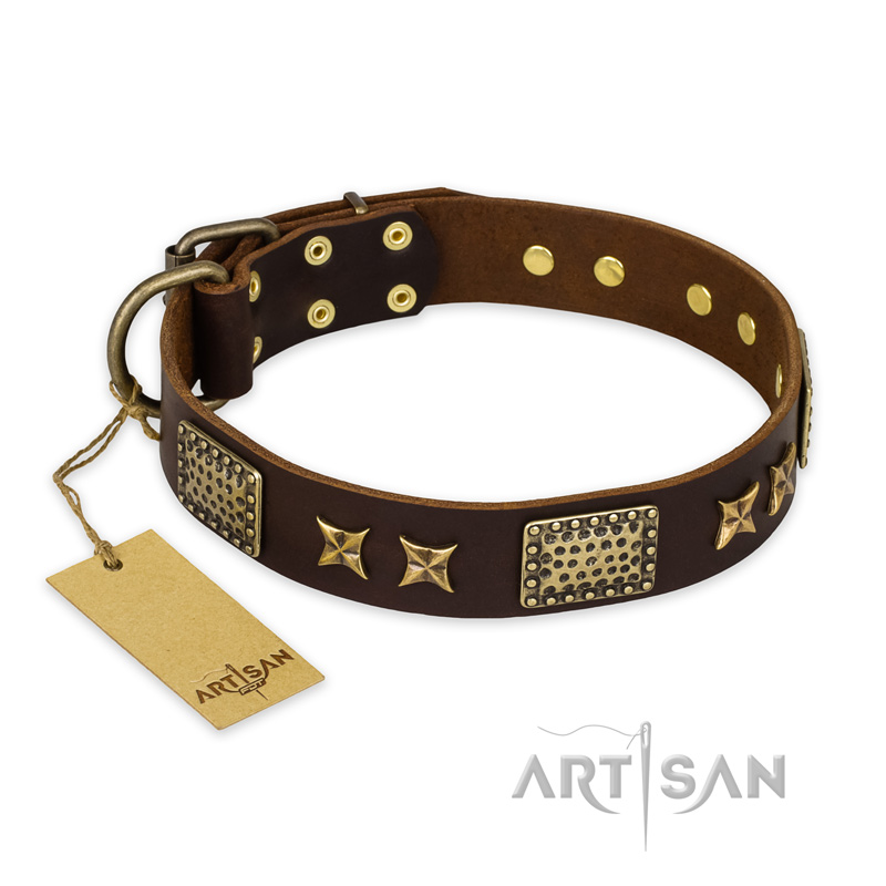 "Sparkling Bronze" FDT Artisan Genuine Leather Labrador Collar with Bronze Look Stars and Plates