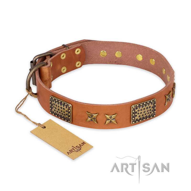 "Cosmic Traveller" FDT Artisan Adorned Leather Labrador Collar with Old Bronze-Plated Stars and Plates - Click Image to Close