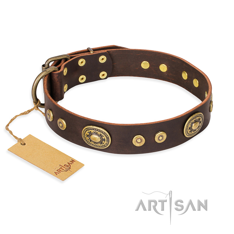 "One-of-a-Kind" FDT Artisan Handmade Decorated Brown Leather Labrador Collar