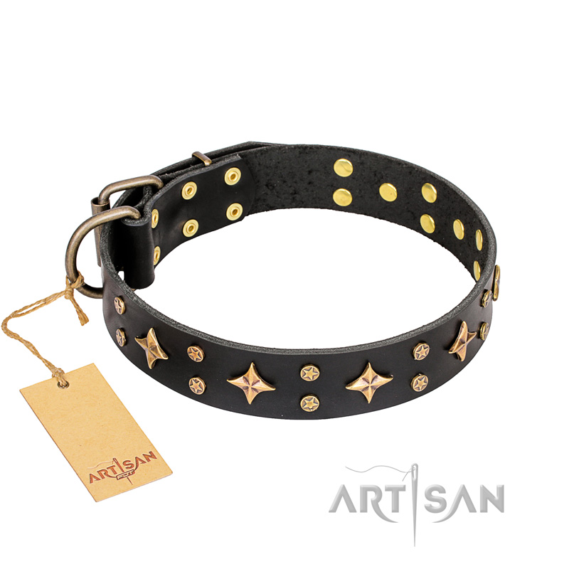 "A La Mode" FDT Artisan Handcrafted Black Leather Labrador Collar