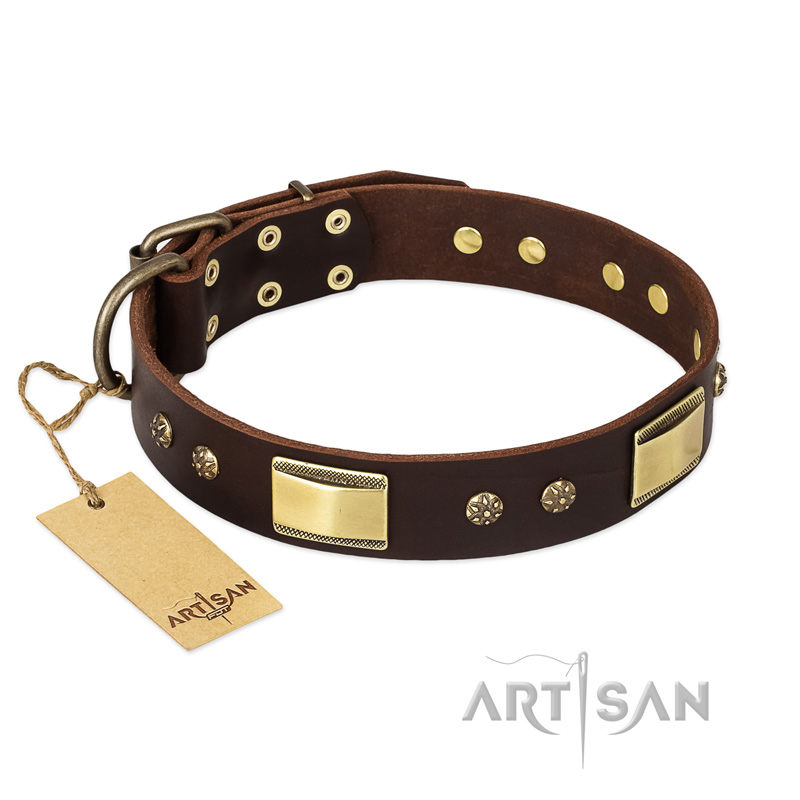 "Rich Fashion" FDT Artisan Decorated Leather Labrador Collar with Plates and Studs