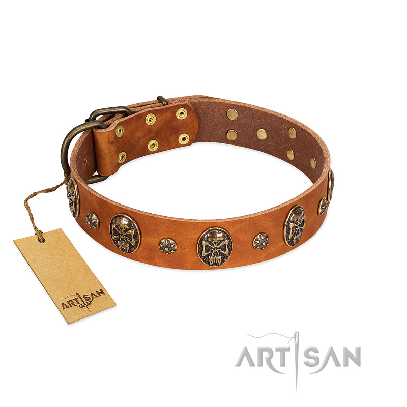 "Rockstar" FDT Artisan Tan Leather Labrador Collar with Engraved Studs and Medallions